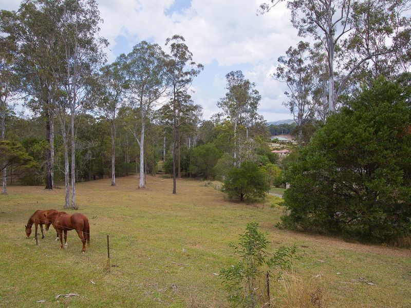 539 Beaudesert Nerang Road, Mount Nathan QLD 4211