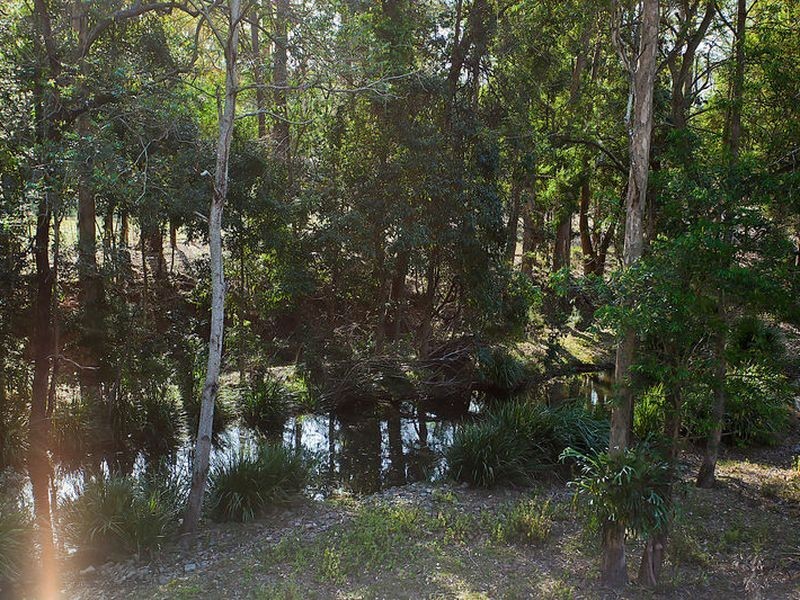 539 Beaudesert Nerang Road, Mount Nathan QLD 4211