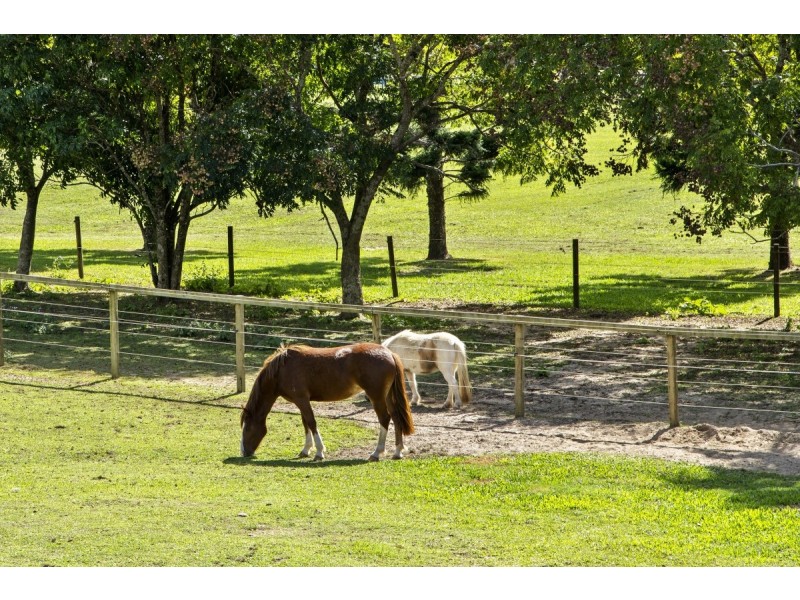27 Petsch Creek Road, Tallebudgera Valley QLD 4228