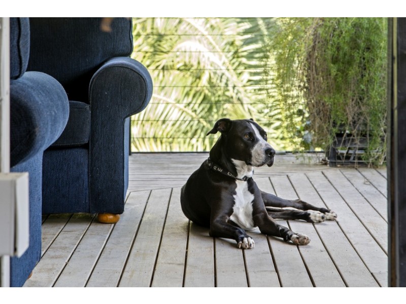 27 Petsch Creek Road, Tallebudgera Valley QLD 4228