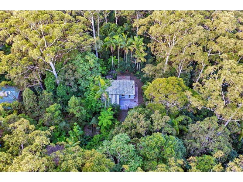 2223 Springbrook Road, Springbrook QLD 4213