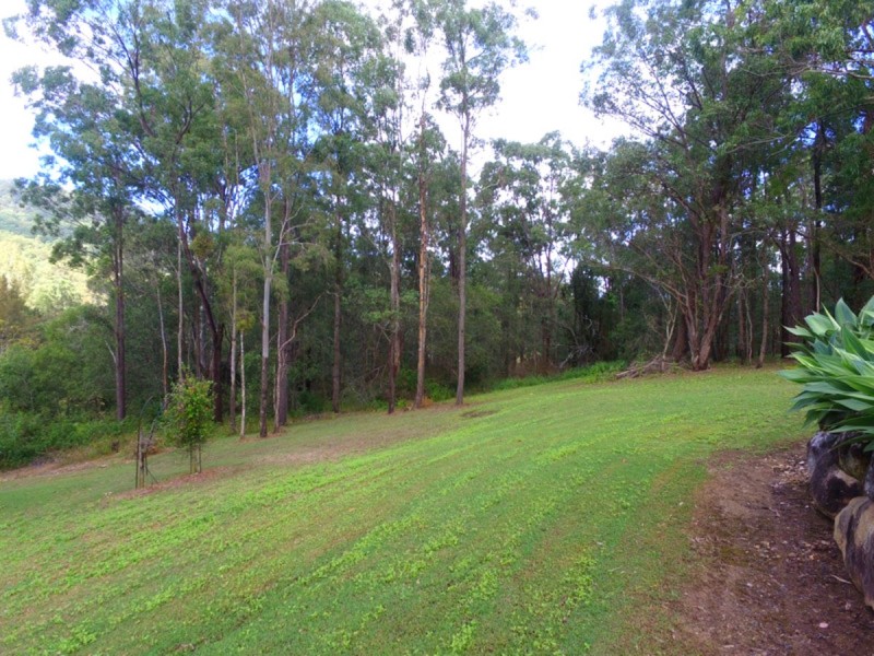 49-51 Thornbird Court, Canungra QLD 4275