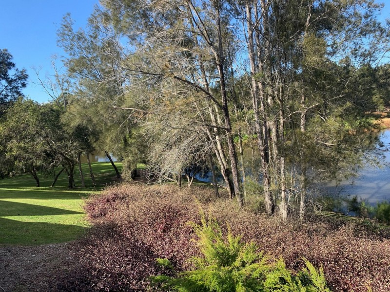 9 Riverlea Waters Drive, Nerang QLD 4211