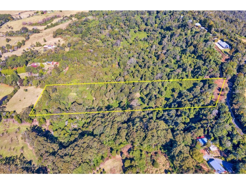 107 Lyrebird Ridge Road, Springbrook QLD 4213