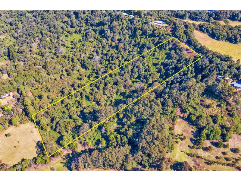 107 Lyrebird Ridge Road, Springbrook QLD 4213