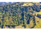 107 Lyrebird Ridge Road, Springbrook QLD 4213