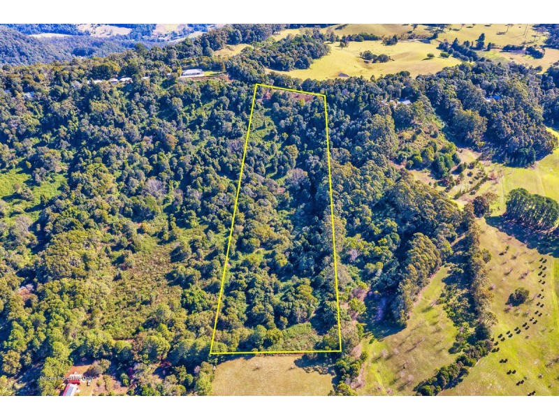 107 Lyrebird Ridge Road, Springbrook QLD 4213