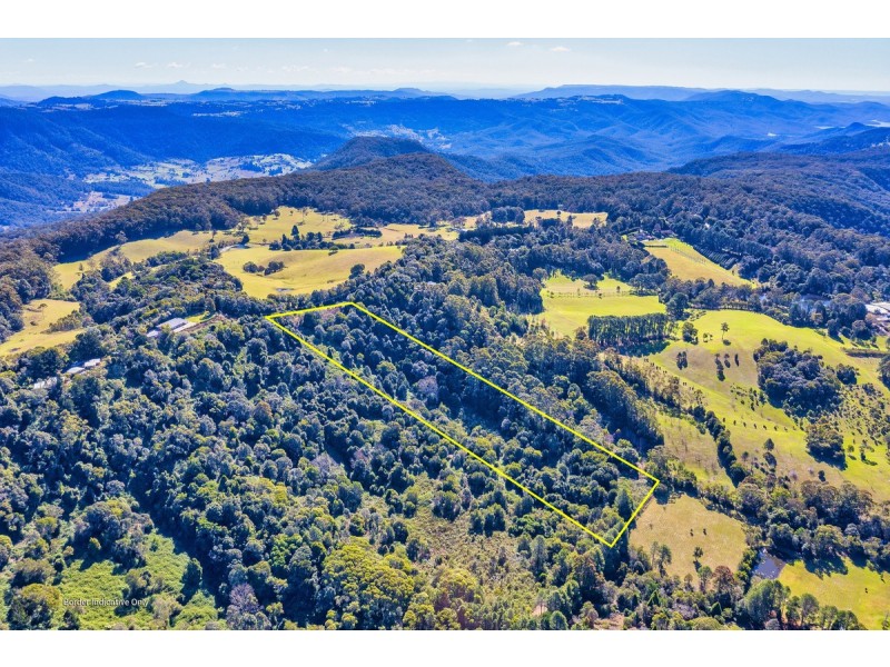 107 Lyrebird Ridge Road, Springbrook QLD 4213