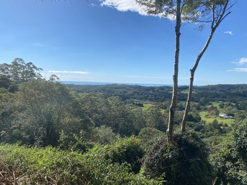 107 Lyrebird Ridge Road, Springbrook QLD 4213
