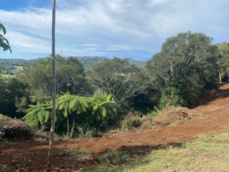 107 Lyrebird Ridge Road, Springbrook QLD 4213