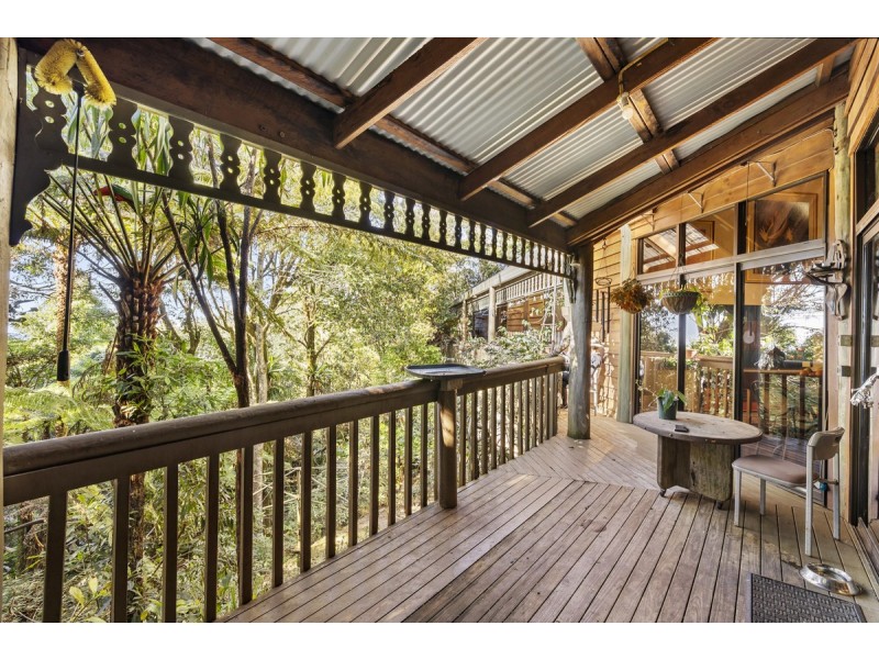 369 Lyrebird Ridge Road, Springbrook QLD 4213