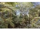 369 Lyrebird Ridge Road, Springbrook QLD 4213
