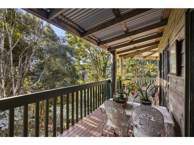 369 Lyrebird Ridge Road, Springbrook QLD 4213