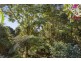 369 Lyrebird Ridge Road, Springbrook QLD 4213