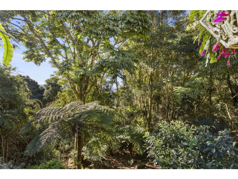 369 Lyrebird Ridge Road, Springbrook QLD 4213