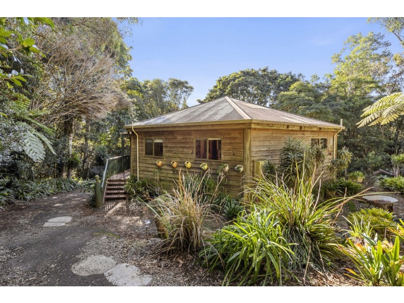 369 Lyrebird Ridge Road, Springbrook QLD 4213