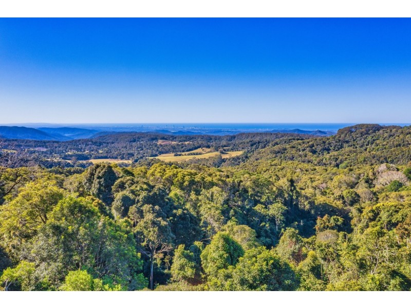 369 Lyrebird Ridge Road, Springbrook QLD 4213