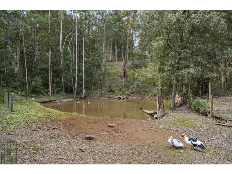 6 Chesterton Road, Guanaba QLD 4210