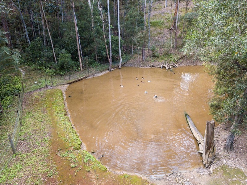 6 Chesterton Road, Guanaba QLD 4210