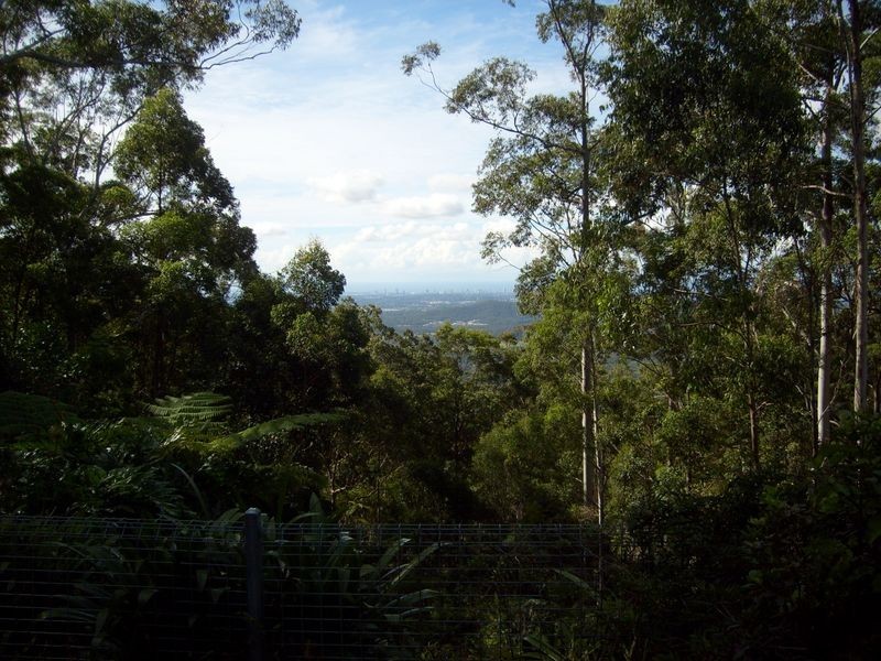 10 Gretty Lane, Lower Beechmont QLD 4211