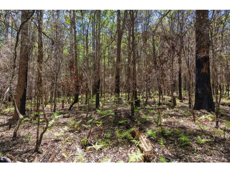 1934 Springbrook Road, Springbrook QLD 4213