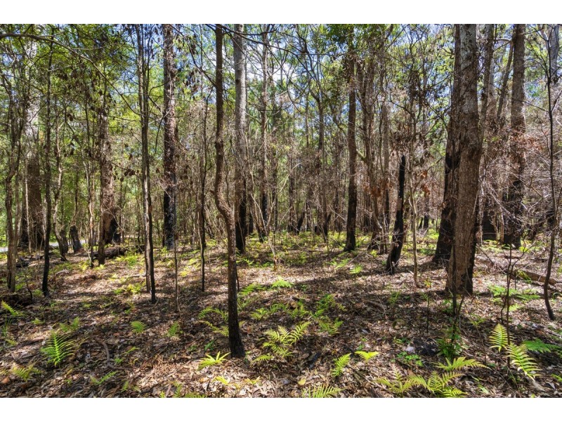 1934 Springbrook Road, Springbrook QLD 4213