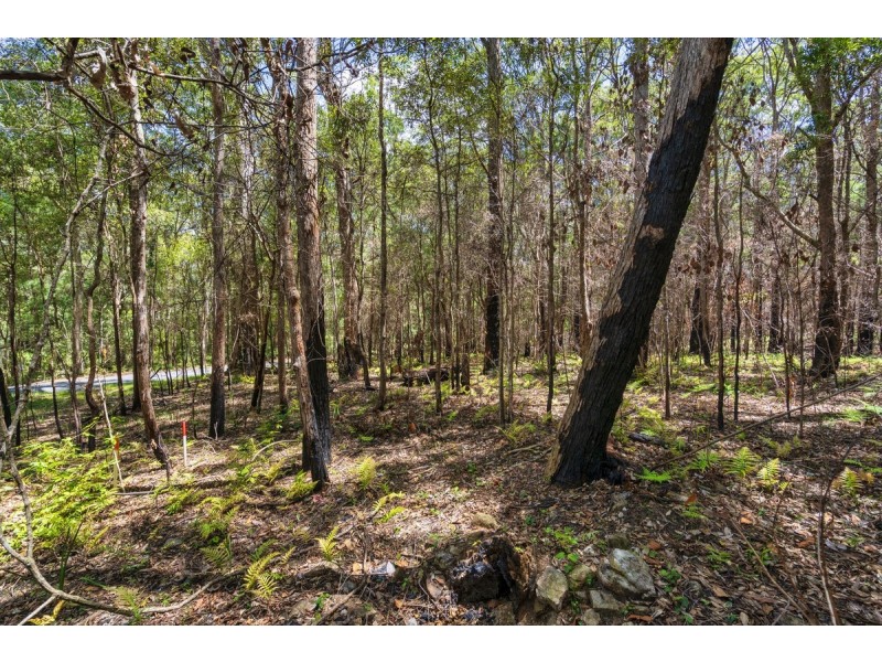 1934 Springbrook Road, Springbrook QLD 4213