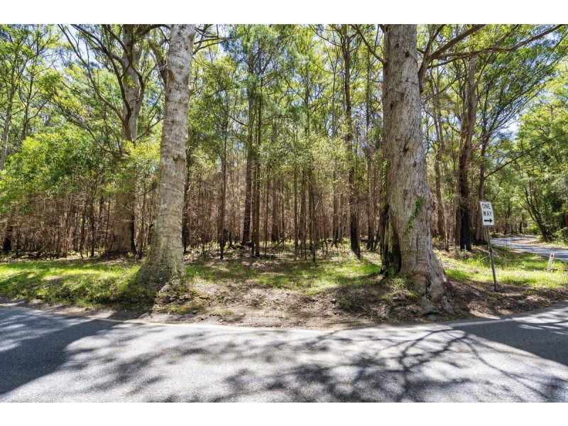 1934 Springbrook Road, Springbrook QLD 4213