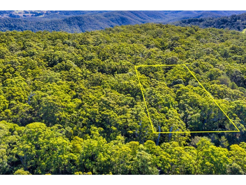 1934 Springbrook Road, Springbrook QLD 4213