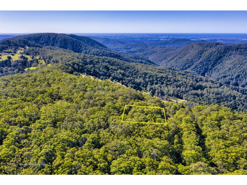 1934 Springbrook Road, Springbrook QLD 4213