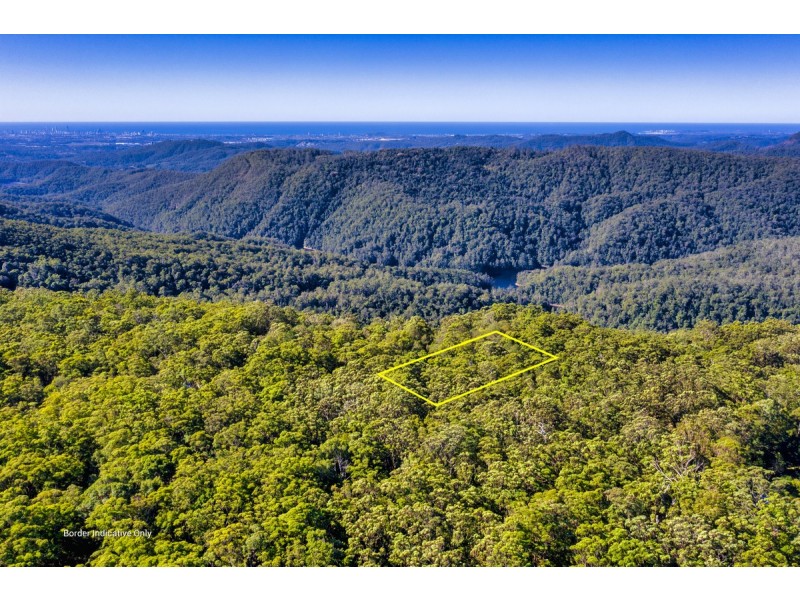 1934 Springbrook Road, Springbrook QLD 4213