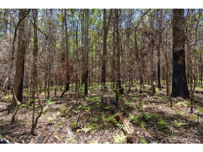 1934 Springbrook Road, Springbrook QLD 4213