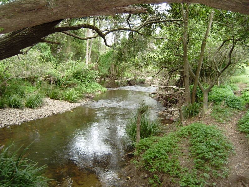 25 Souter Street, Nerang QLD 4211