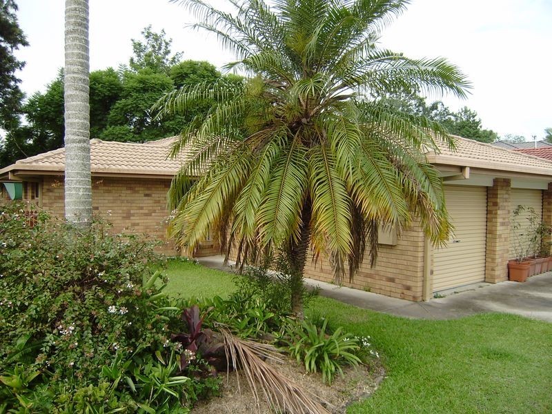 25 Souter Street, Nerang QLD 4211