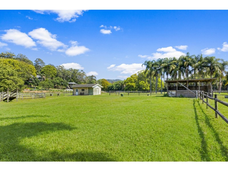 13 Tyalla Court, Tallebudgera QLD 4228