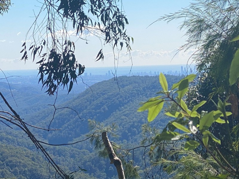 7 Mimosa Road, Springbrook QLD 4213