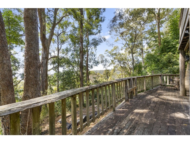 7 Mimosa Road, Springbrook QLD 4213