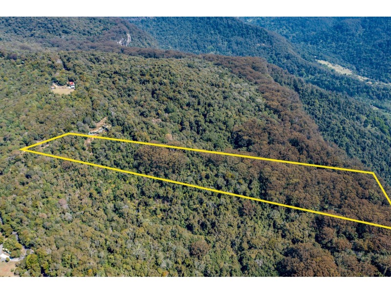 150 Repeater Station Road, Springbrook QLD 4213