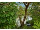 67 Nerang River Drive, Nerang QLD 4211