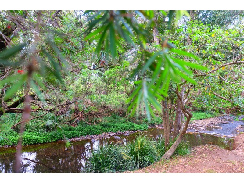 26 Mackellar Drive, Nerang QLD 4211