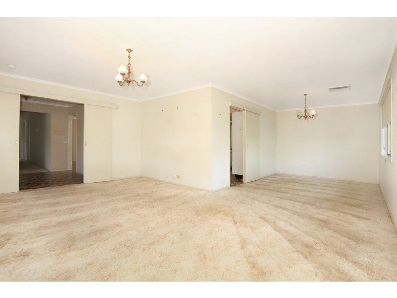 133 Alison Road, Carrara QLD 4211