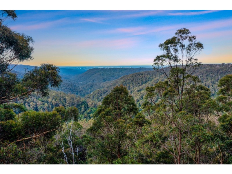 4 Gwongorella Parade, Springbrook QLD 4213