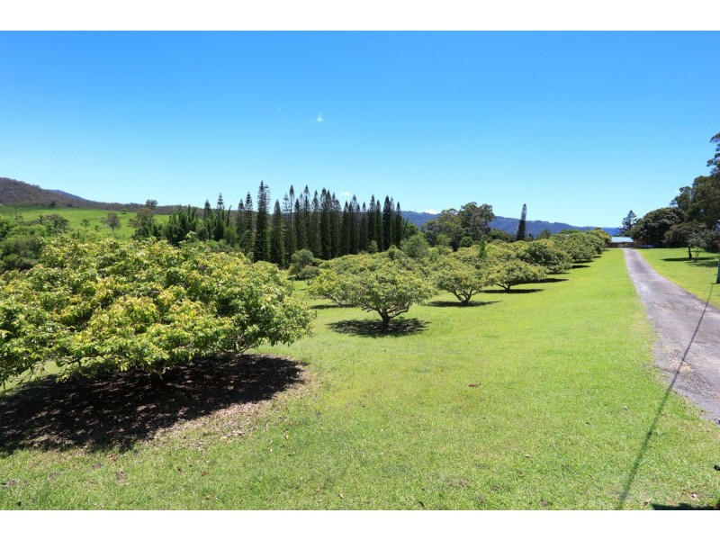 21 Darwalla Road, Mount Nathan QLD 4211