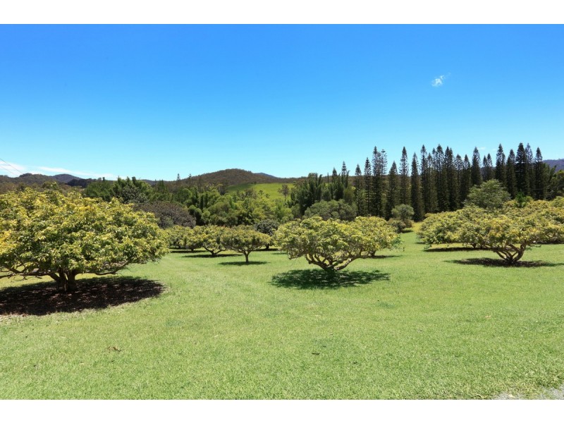 21 Darwalla Road, Mount Nathan QLD 4211