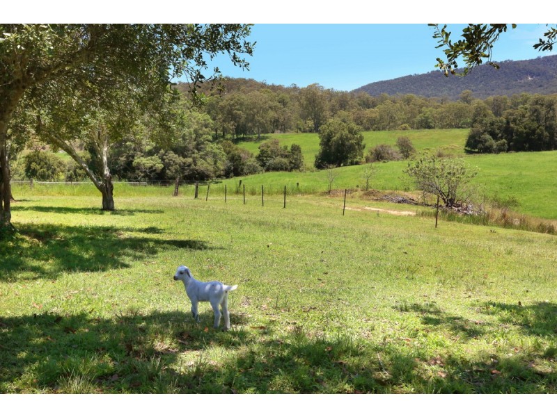 21 Darwalla Road, Mount Nathan QLD 4211