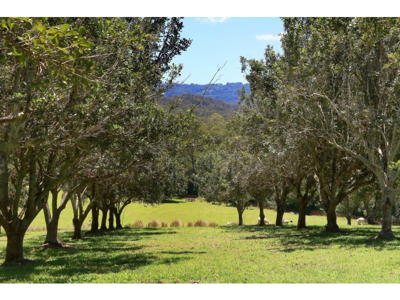 21 Darwalla Road, Mount Nathan QLD 4211