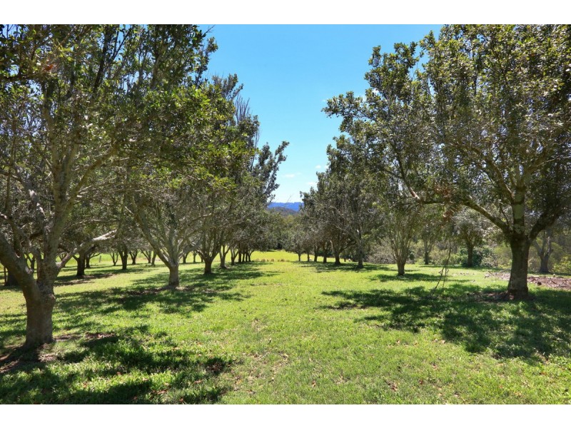 21 Darwalla Road, Mount Nathan QLD 4211