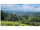 1625 Tamborine-Oxenford Road, Wongawallan QLD 4210