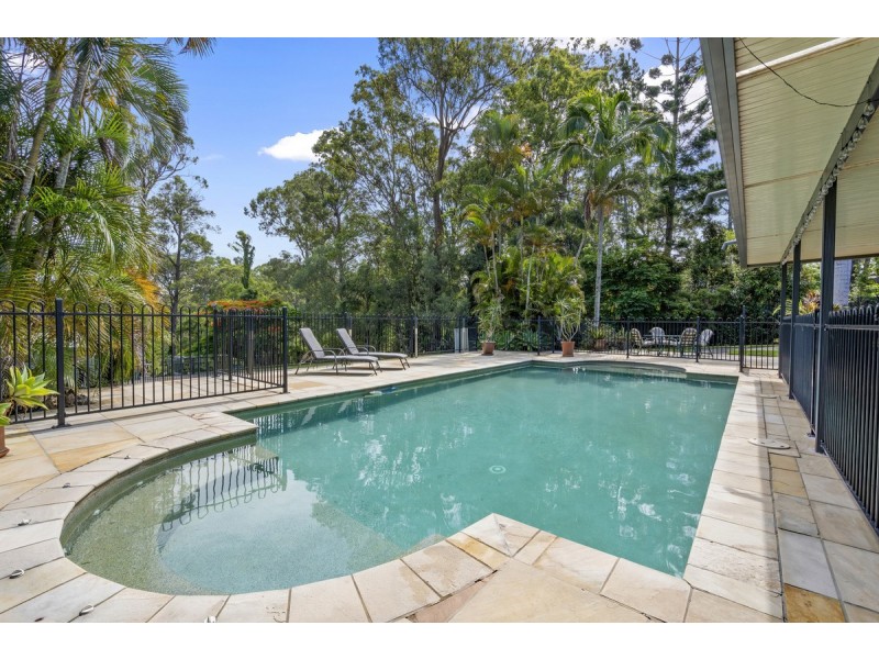 29 Wandin Street, Nerang QLD 4211