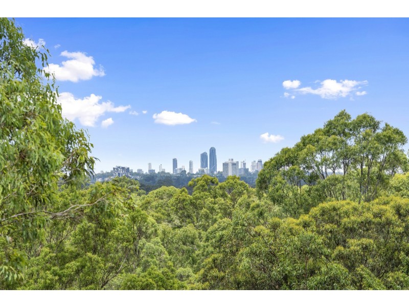 232 Crane Crescent, Nerang QLD 4211